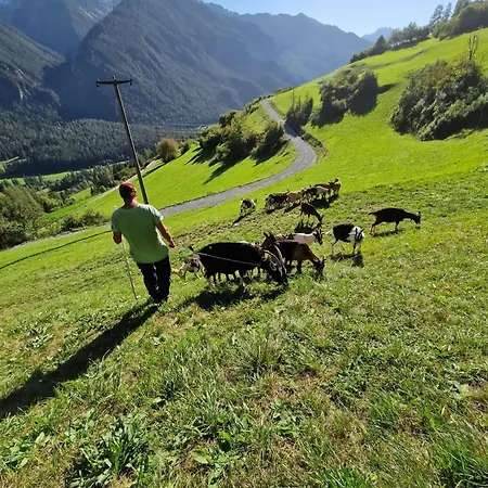 Auf Ziegenhof Appartement *